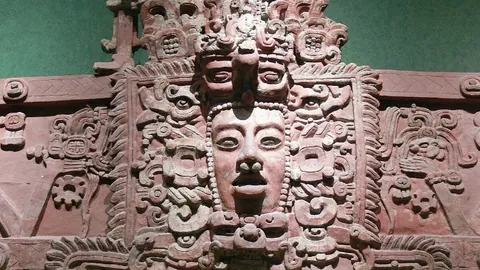 万博manbetx体育平台